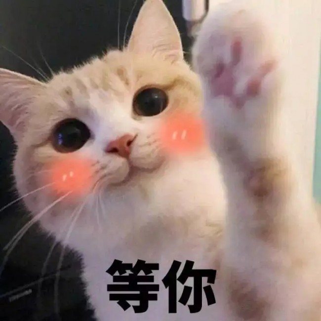 src=http://blogmi.top/skin/defaultlan/image/nopic.gif