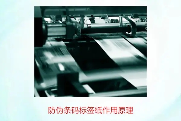 微信圖片_20250801093434