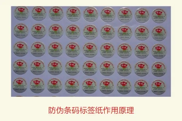 微信圖片_20250801093445