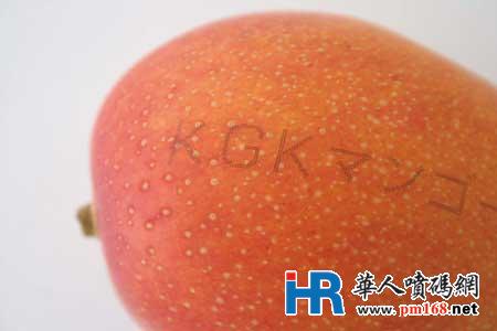 日本KGK噴碼機(jī) 好用、耐用、省用